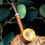 Thumbnail: Pipe Billiard sablée