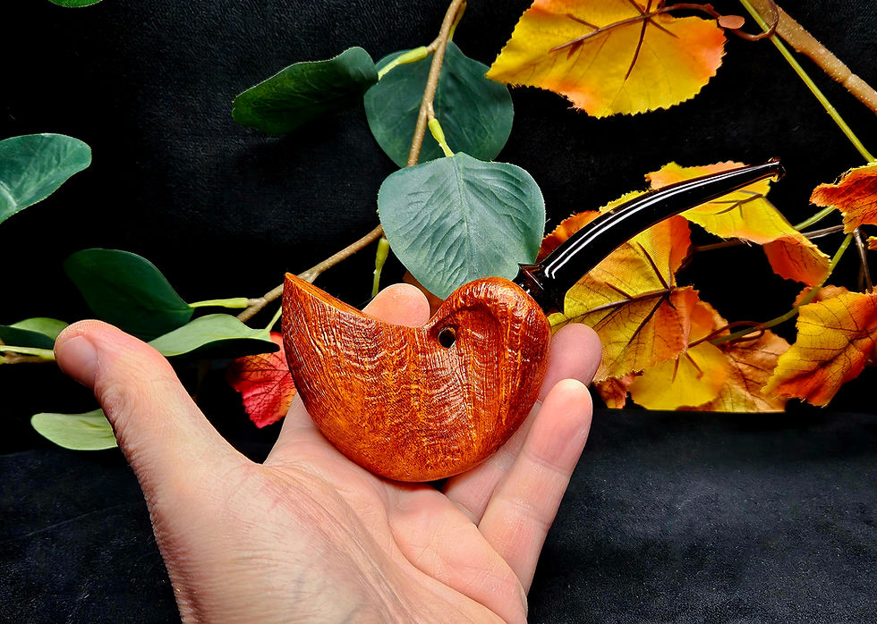 Miniature : Nautilius sable et nacre