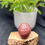 Miniature : Pipe Chubby Egg sandblasted