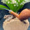 Miniature : Pipe Cutty Egg Sandblasted