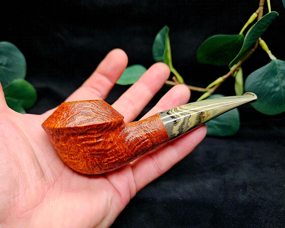 Thumbnail: Chubby Rhodesian