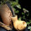 Thumbnail: Pipe Chubby Brandy Olivier et Palmier noir