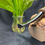 Miniature : Pipe Cutty Egg Sandblasted
