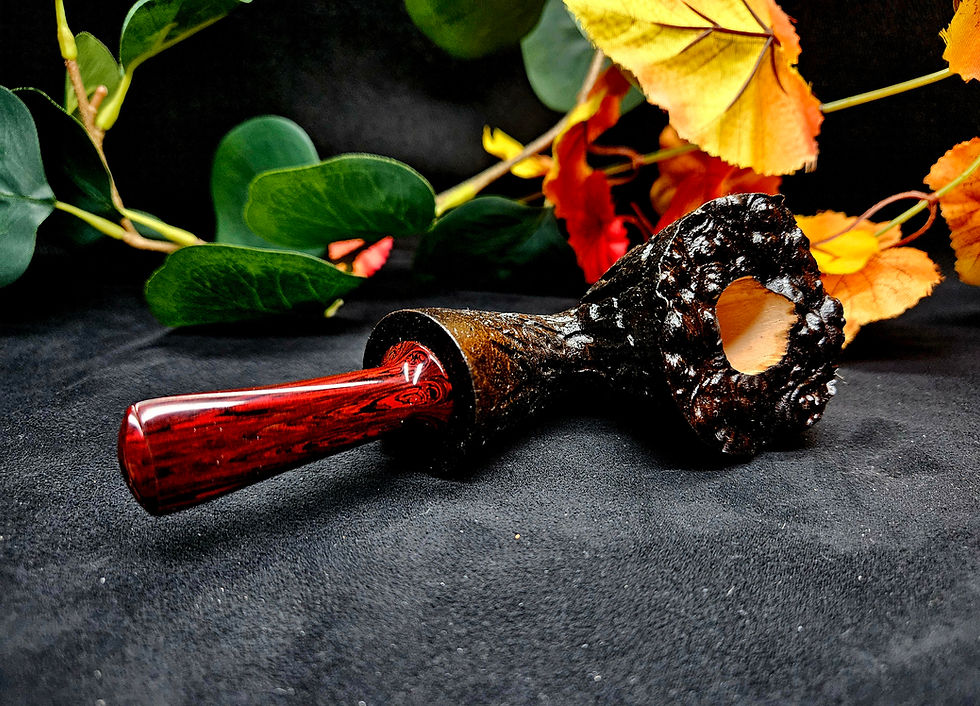 Miniature : Chubby Dublin Reverse Calabash "Bark"