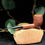 Miniature : Pipe Billiard Pierre Mercier Custom