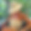 Miniature : Seychelles