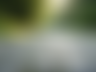 Driveway Cleaning Services in Wokingham: Keep Your Home’s Entrance Spotless