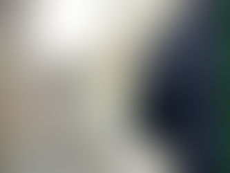 Why Moss, Algae and Dirt Build Up on Driveways — And Why You Shouldn’t Ignore It