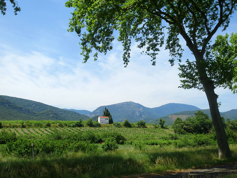 Roussillon 1.jpg