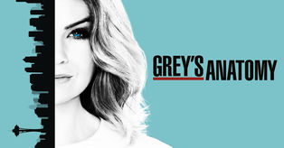 Grey’s Anatomy tendrá un nuevo spin off con bomberos