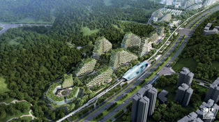 Han comenzado la construcción de la primera Ciudad Bosque del mundo