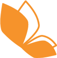 MAS orange flying butterfly_edited.png