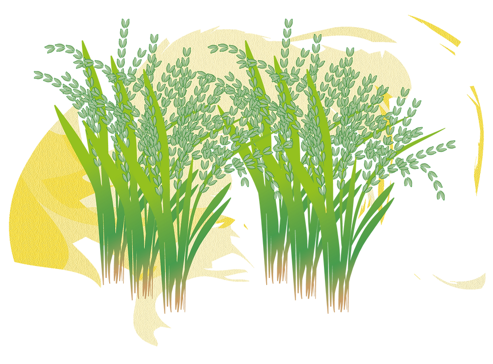 plantas 2.png