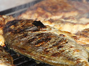 PUERTO MORELOS POISSON GRILLE.png