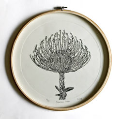 Pincushion