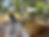 Thumbnail: Rosie Salad Bowl