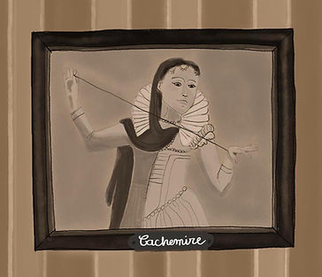 Agent Cachemire - Réseau C14