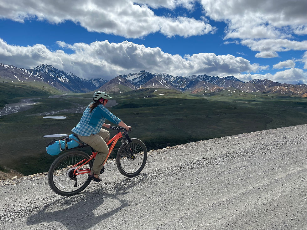Sierra on her way up to Polychrome Pass.
