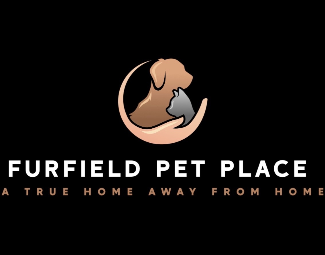 Furfield Pet Place| Pet Boarding and Daycare Near Me