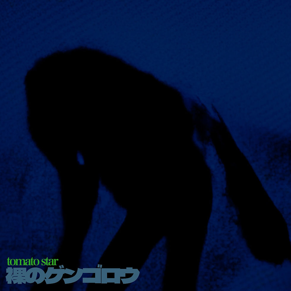 146_hadaka_no_gengorou_mini