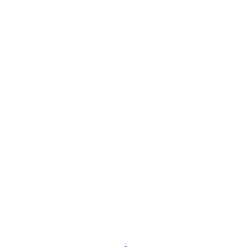 OceanEcho-Band.png
