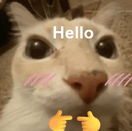giphy.gif