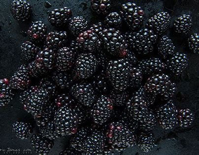 Blacker Berries Launch Party