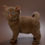 Thumbnail: 895 Amigo (BL) British shorthair male kitten