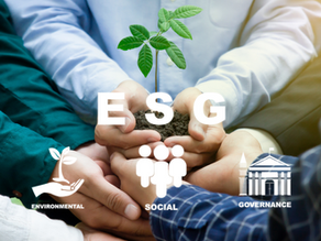 La sostenibilità ESG non è per le imprese monodecisionali