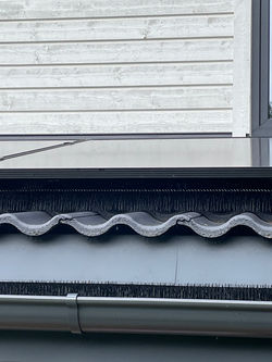 Gutter Brush