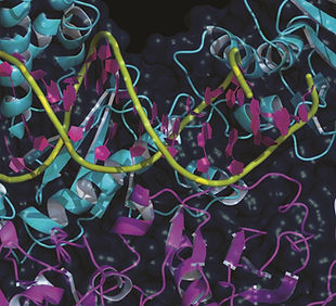 site_biophy_header_edited.jpg