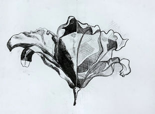 IMG_0393_Original