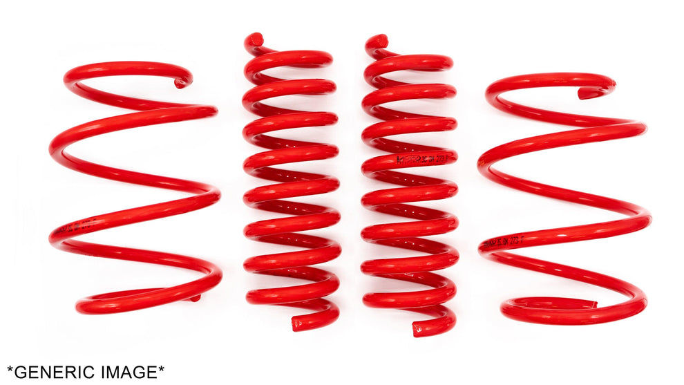 Fiesta MK8 ST V-Maxx Lowering Springs