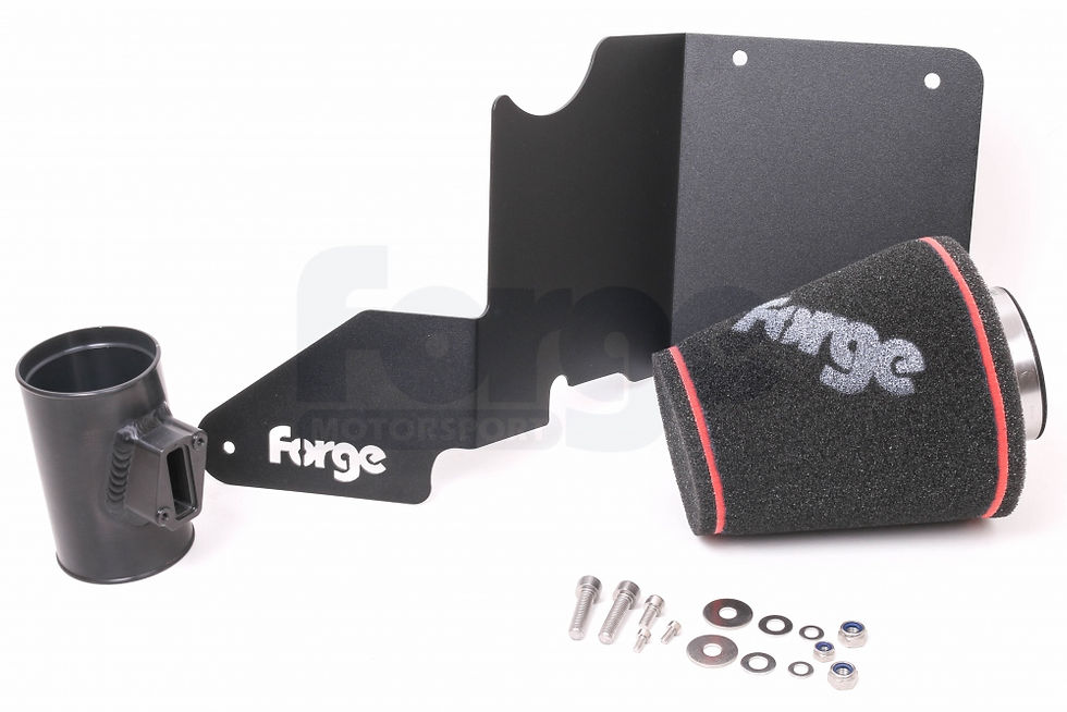 Fiesta ST180/ST200 Forge Intake