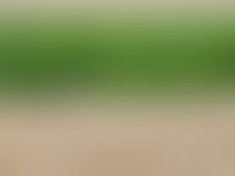 Sécurité alimentaire : Connecting Food noue un partenariat stratégique avec Valeur-Tech
