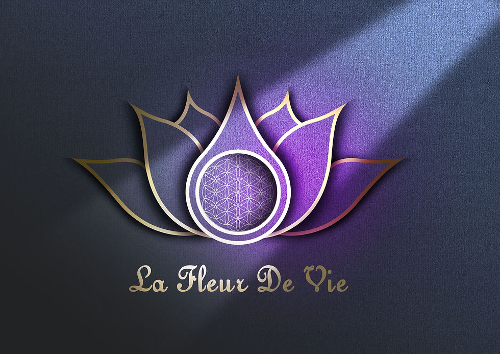 Fleur de vie LOGO ORIGINAL - Copie.jpg