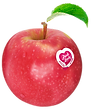 Pomme-pinklady-2副本.png