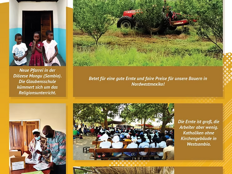 Fotobericht November 2021