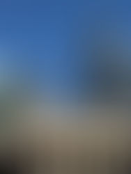 City Of London: Slave Trade Money Trail Tour