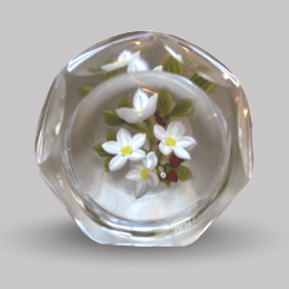 WhiteDogwood2.gif