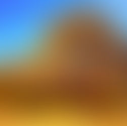 An image of a tree in fall