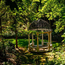 Peaceful contemplation at Greenwood