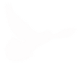 FMA Dove- White.png