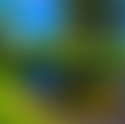 Water feature at Fairmount Memorial Park