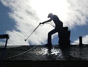 Roof Cleaning Services