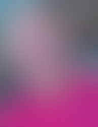 James F. Brinkman MD