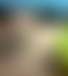 Featured Cat - SINBAD!