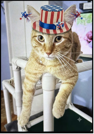 Featured Cat - VECNA!