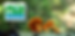 Sponsorship picture 2025 v3.png