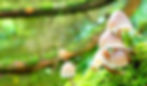 P1010197_edited.jpg